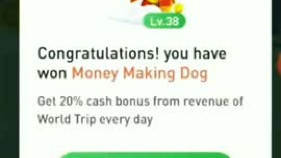 5 Synthesis Dogs merge in Money making dog 🐶