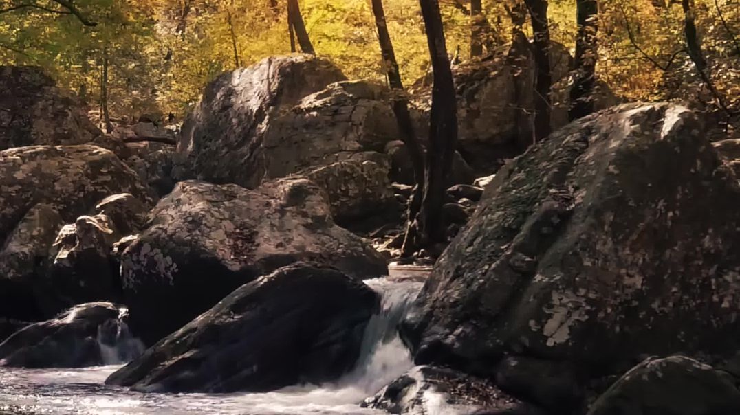 Captivating Nature in 4K: A Visual Symphony of Serene Landscapes