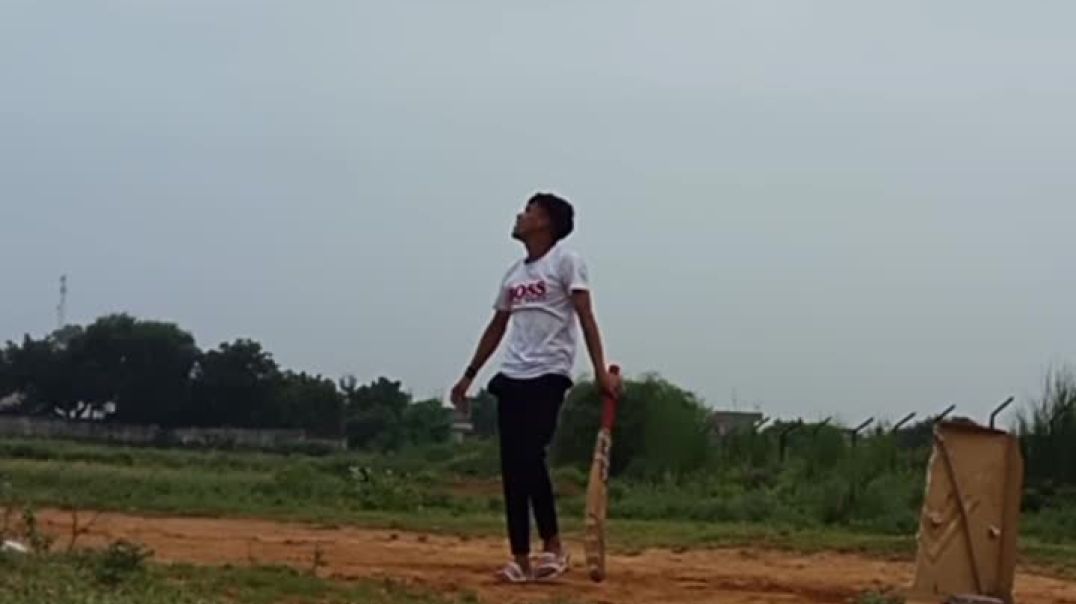 Cricket lover